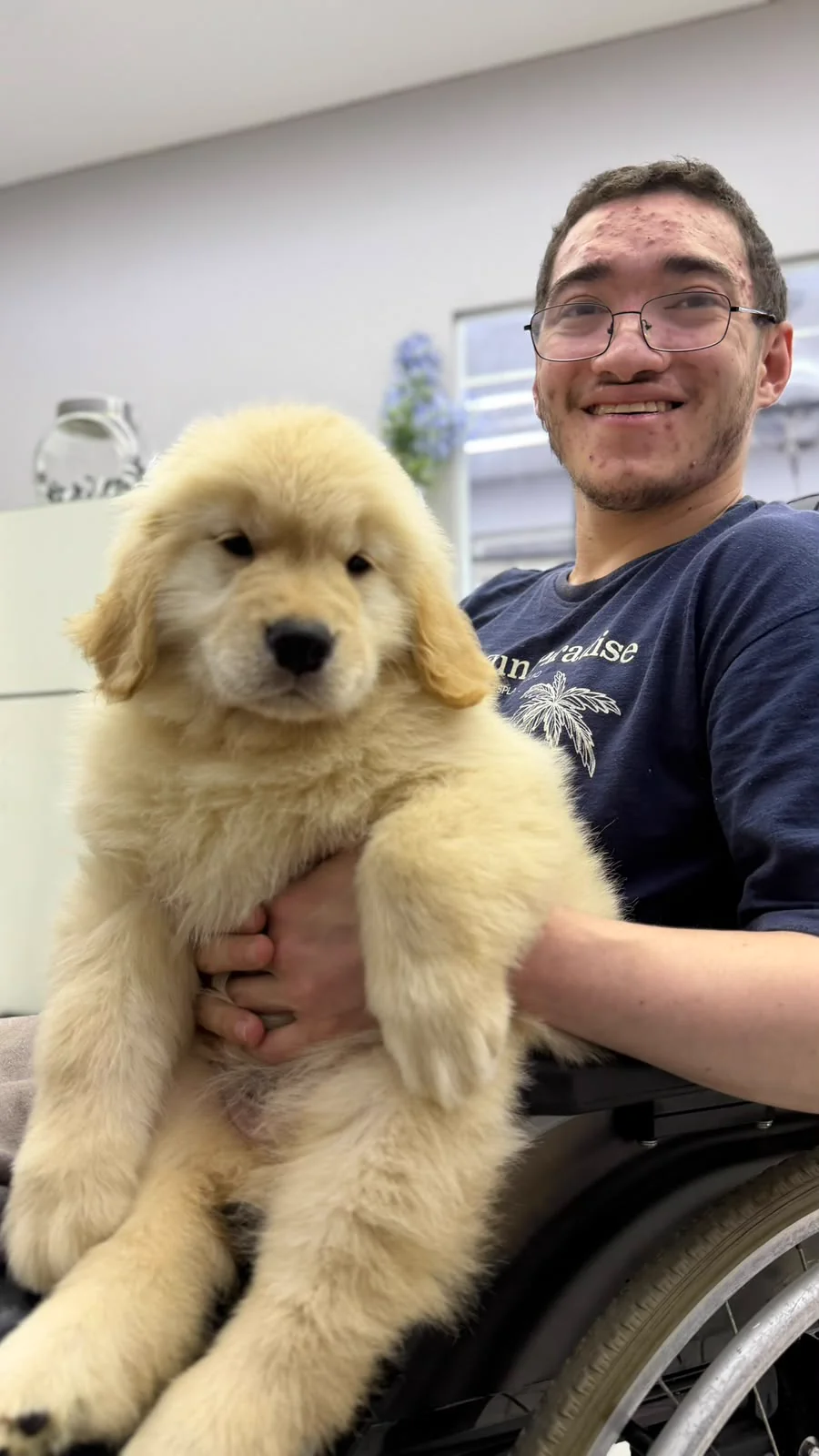 Filhote de Golden Retriever no colo