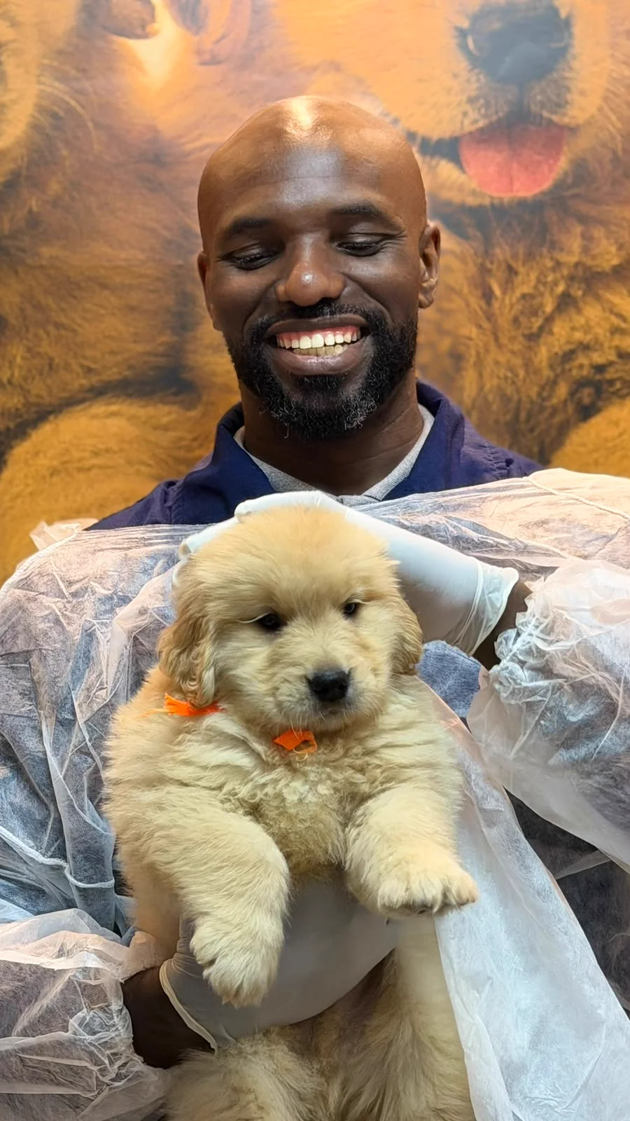 Homem segurando um filhote de Golden Retriever