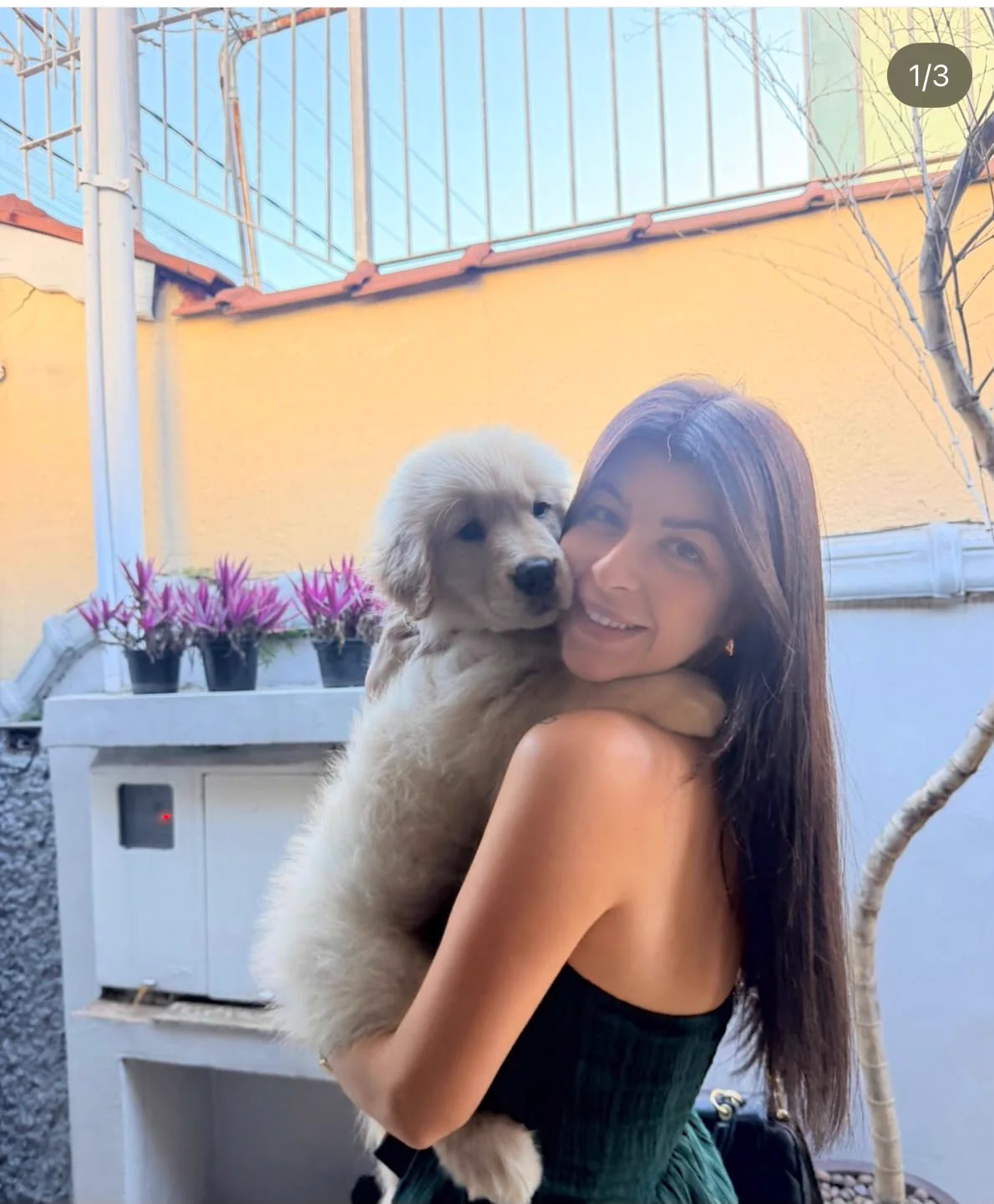 Jovem segurando um filhote de Golden Retriever