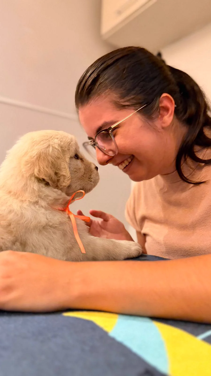 Mulher cuidando de um filhote de Golden Retriever